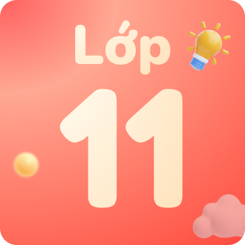 Khóa học lớp 11